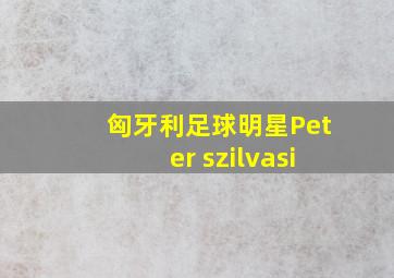 匈牙利足球明星Peter szilvasi